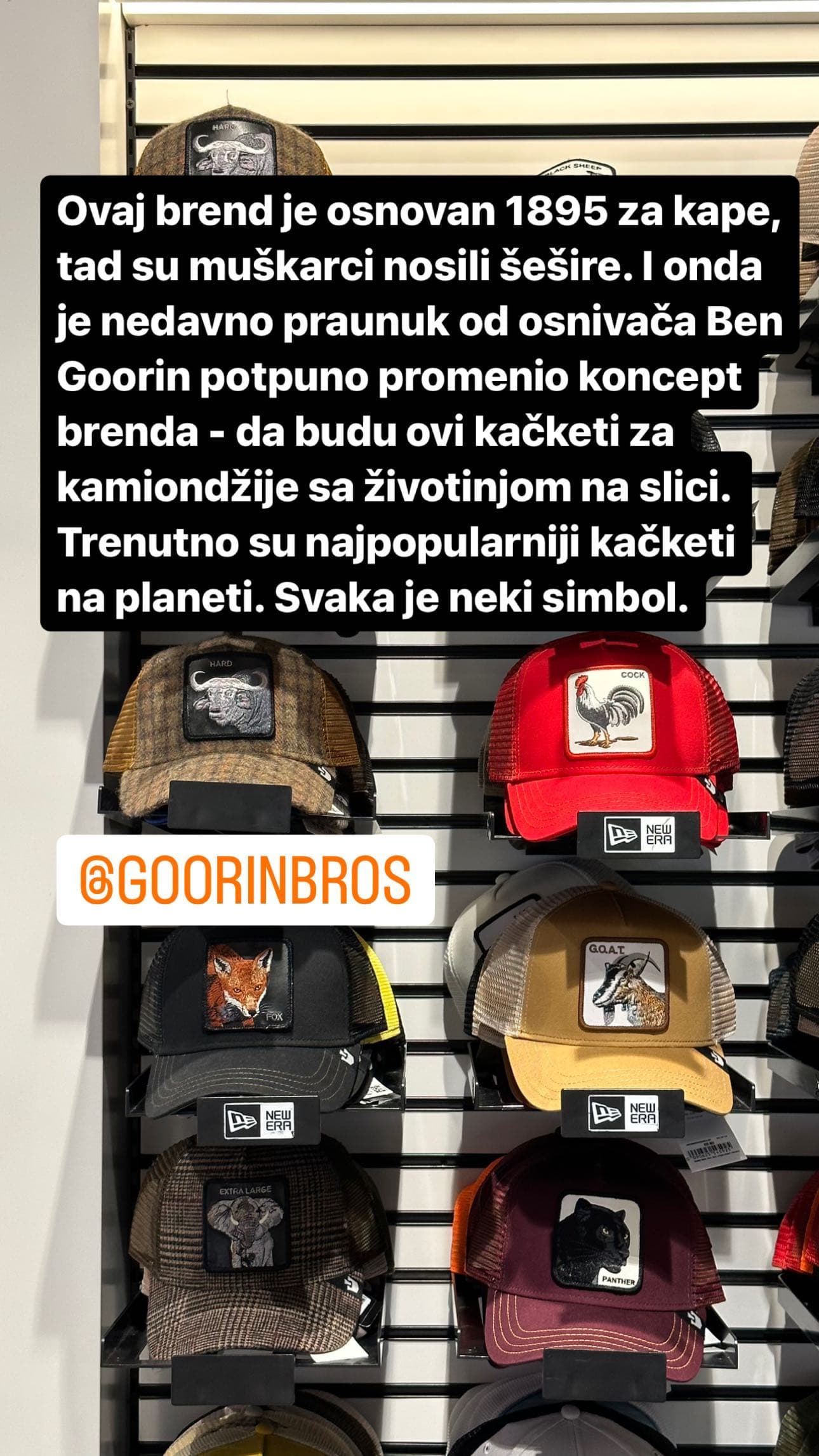 Marketing2 12