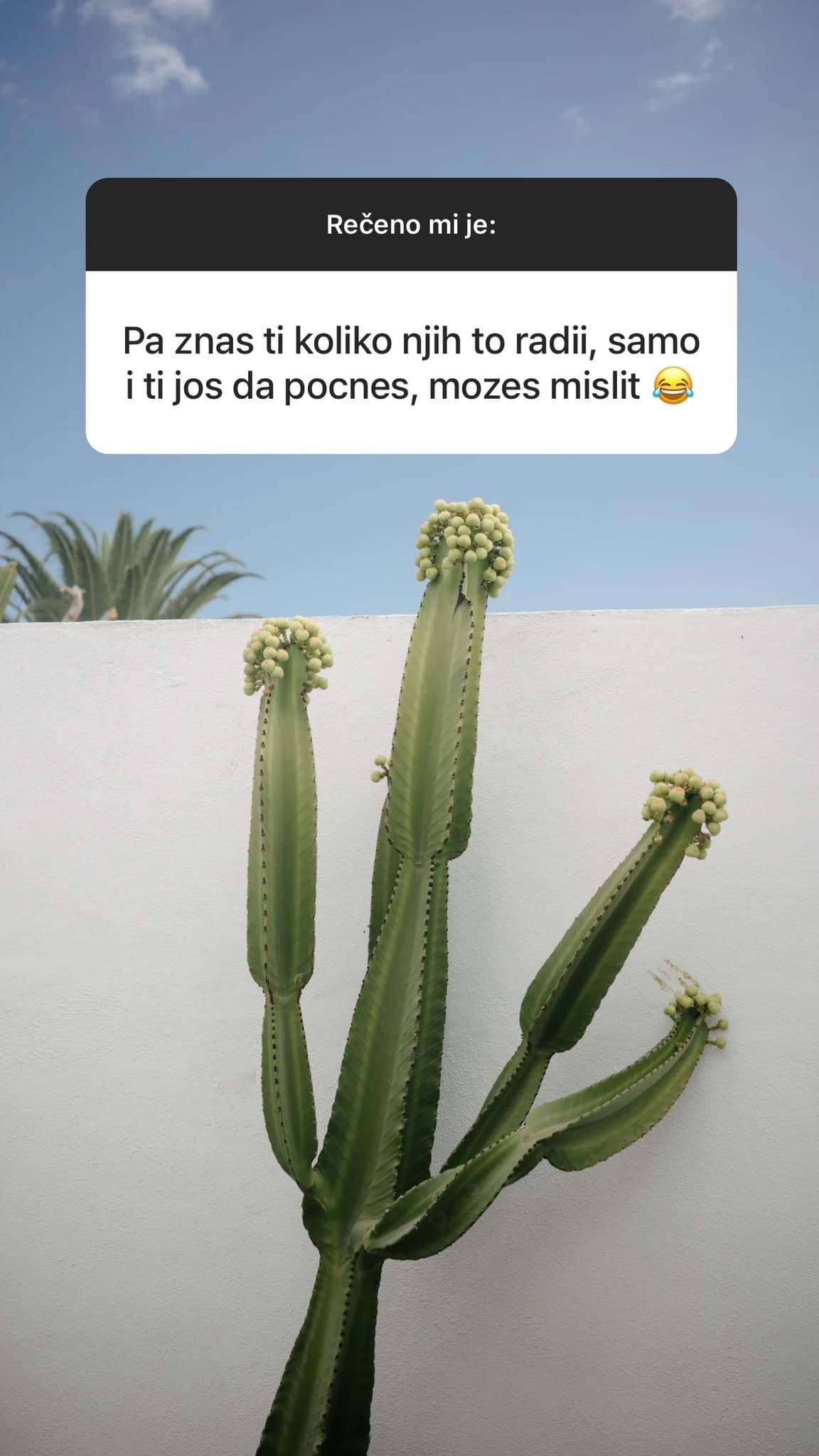 StaSuVamRekli 20