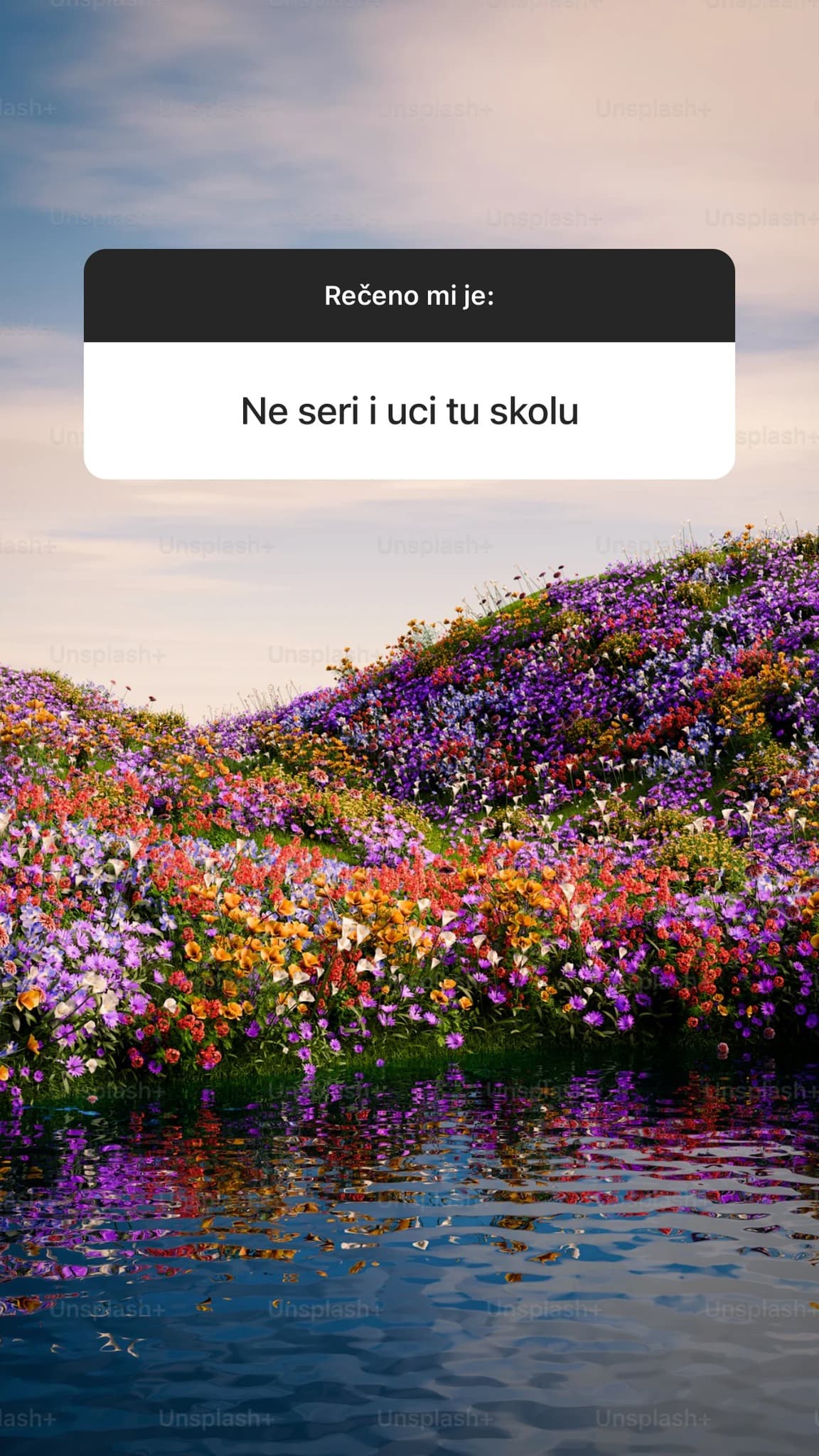 StaSuVamRekli 21